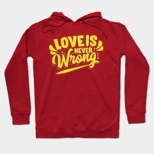 Love is Never Wrong Hoodie